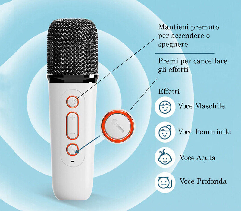 Cassa Bluetooth Portatile Karaoke 2 Microfoni Wireless USB