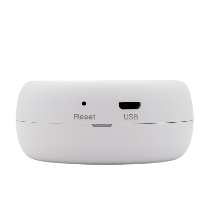 Termometro Igrometro Wifi Smart Temperatura Sensore Umidità Misuratore Alexa