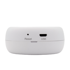 Termometro Igrometro Wifi Smart Temperatura Sensore Umidità Misuratore Alexa