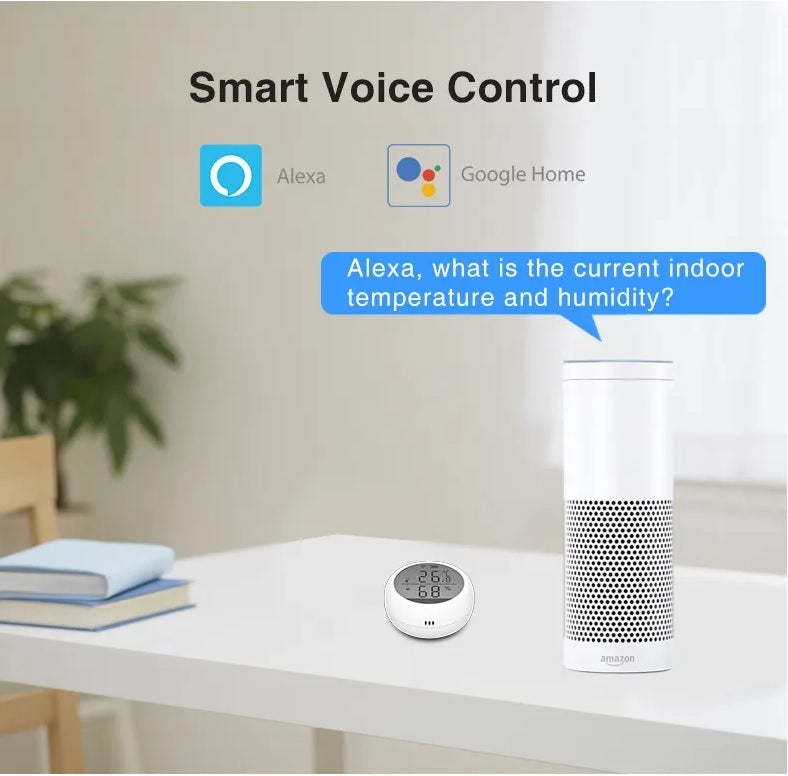 Termometro Igrometro Wifi Smart Temperatura Sensore Umidità Misuratore Alexa