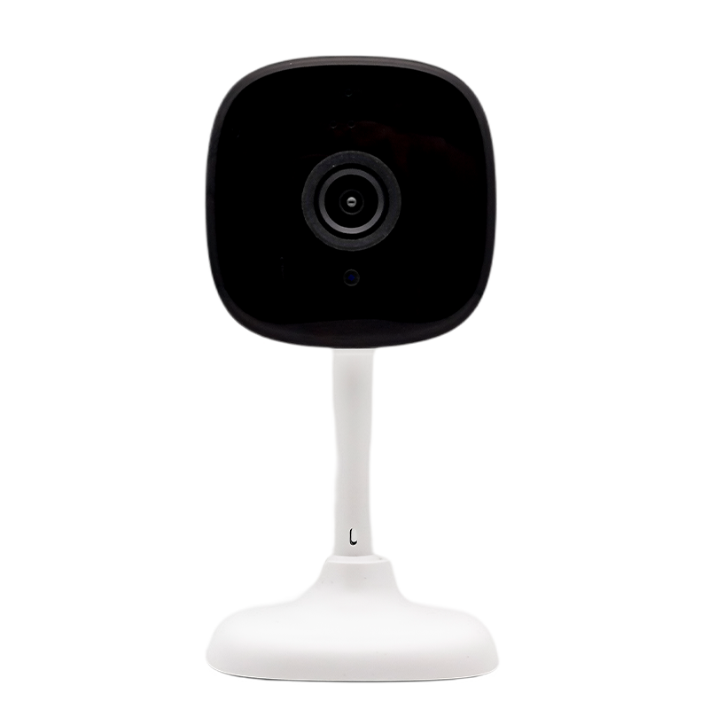 Telecamera Sorveglianza da Interno  Intelligente