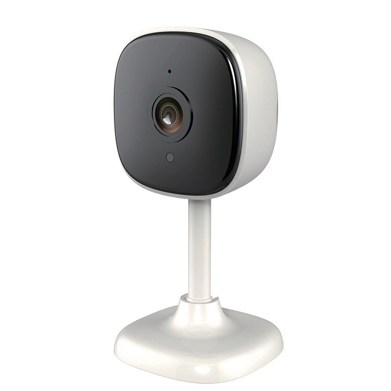 Telecamera Sorveglianza da Interno  Intelligente
