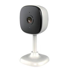 Telecamera Sorveglianza da Interno  Intelligente