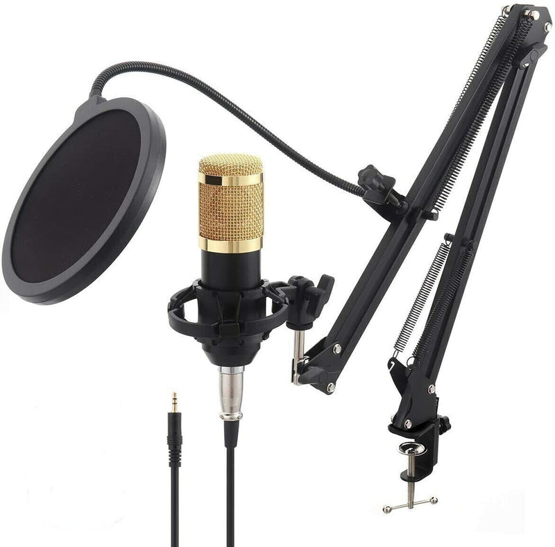 Kit Microfono A Condensatore Professionale Per Live Streaming Studio Computer Pc